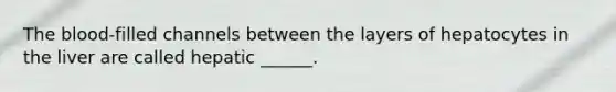 The blood-filled channels between the layers of hepatocytes in the liver are called hepatic ______.