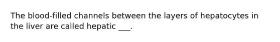 The blood-filled channels between the layers of hepatocytes in the liver are called hepatic ___.