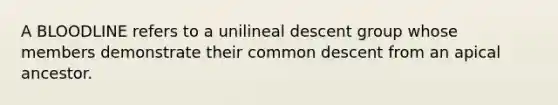 A BLOODLINE refers to a unilineal descent group whose members demonstrate their common descent from an apical ancestor.