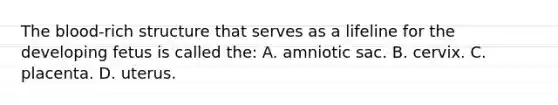 The​ blood-rich structure that serves as a lifeline for the developing fetus is called​ the: A. amniotic sac. B. cervix. C. placenta. D. uterus.