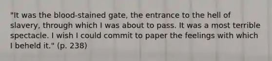 "It was the blood-stained gate, the entrance to the hell of slavery, through which I was about to pass. It was a most terrible spectacle. I wish I could commit to paper the feelings with which I beheld it." (p. 238)