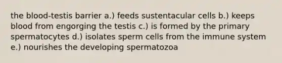 the blood-testis barrier a.) feeds sustentacular cells b.) keeps blood from engorging the testis c.) is formed by the primary spermatocytes d.) isolates sperm cells from the immune system e.) nourishes the developing spermatozoa