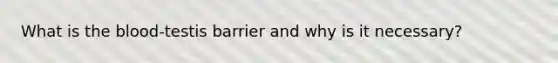 What is the blood-testis barrier and why is it necessary?