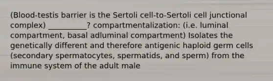 (Blood-testis barrier is the Sertoli cell-to-Sertoli cell junctional complex) __________? compartmentalization: (i.e. luminal compartment, basal adluminal compartment) Isolates the genetically different and therefore antigenic haploid germ cells (secondary spermatocytes, spermatids, and sperm) from the immune system of the adult male