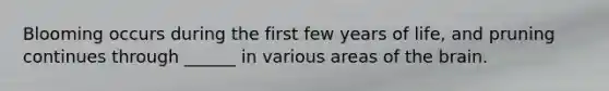Blooming occurs during the first few years of life, and pruning continues through ______ in various areas of the brain.
