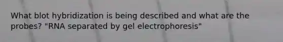 What blot hybridization is being described and what are the probes? "RNA separated by gel electrophoresis"