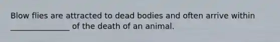 Blow flies are attracted to dead bodies and often arrive within _______________ of the death of an animal.