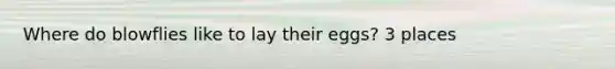 Where do blowflies like to lay their eggs? 3 places