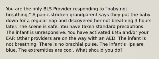 You are the only BLS Provider responding to "baby not breathing." A panic-stricken grandparent says they put the baby down for a regular nap and discovered her not breathing 3 hours later. The scene is safe. You have taken standard precautions. The infant is unresponsive. You have activated EMS and/or your EAP. Other providers are on the way with an AED. The infant is not breathing. There is no brachial pulse. The infant's lips are blue. The extremities are cool. What should you do?