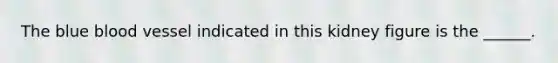 The blue blood vessel indicated in this kidney figure is the ______.
