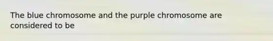 The blue chromosome and the purple chromosome are considered to be