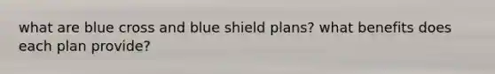 what are blue cross and blue shield plans? what benefits does each plan provide?