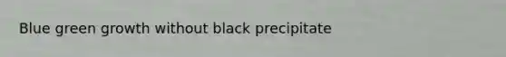 Blue green growth without black precipitate