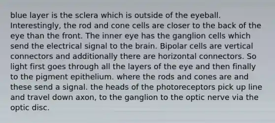 blue layer is the sclera which is outside of the eyeball. Interestingly, the rod and cone cells are closer to the back of the eye than the front. The inner eye has the ganglion cells which send the electrical signal to the brain. Bipolar cells are vertical connectors and additionally there are horizontal connectors. So light first goes through all the layers of the eye and then finally to the pigment epithelium. where the rods and cones are and these send a signal. the heads of the photoreceptors pick up line and travel down axon, to the ganglion to the optic nerve via the optic disc.