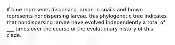 If blue represents dispersing larvae in snails and brown represents nondispersing larvae, this phylogenetic tree indicates that nondispersing larvae have evolved independently a total of ___ times over the course of the evolutionary history of this clade.