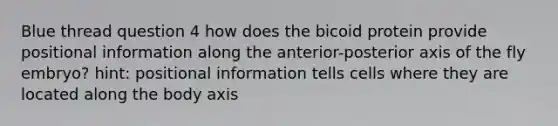 Blue thread question 4 how does the bicoid protein provide positional information along the anterior-posterior axis of the fly embryo? hint: positional information tells cells where they are located along the body axis