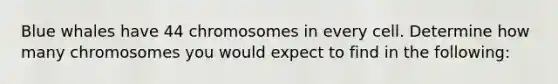 Blue whales have 44 chromosomes in every cell. Determine how many chromosomes you would expect to find in the following: