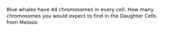 Blue whales have 44 chromosomes in every cell. How many chromosomes you would expect to find in the Daughter Cells from Meiosis