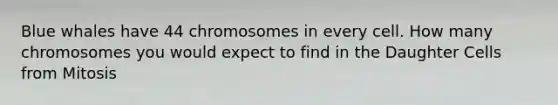 Blue whales have 44 chromosomes in every cell. How many chromosomes you would expect to find in the Daughter Cells from Mitosis