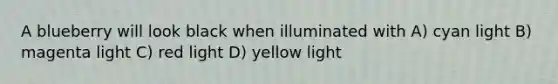 A blueberry will look black when illuminated with A) cyan light B) magenta light C) red light D) yellow light