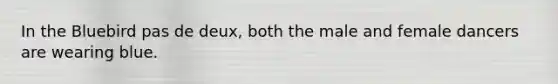 In the Bluebird pas de deux, both the male and female dancers are wearing blue.