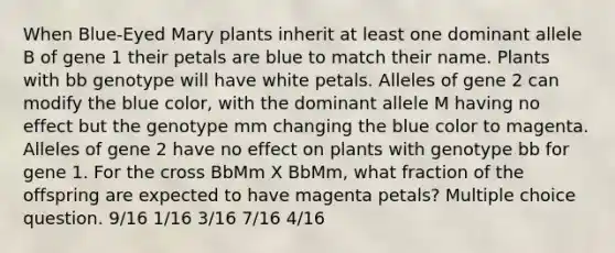 When Blue-Eyed Mary plants inherit at least one dominant allele B of gene 1 their petals are blue to match their name. Plants with bb genotype will have white petals. Alleles of gene 2 can modify the blue color, with the dominant allele M having no effect but the genotype mm changing the blue color to magenta. Alleles of gene 2 have no effect on plants with genotype bb for gene 1. For the cross BbMm X BbMm, what fraction of the offspring are expected to have magenta petals? Multiple choice question. 9/16 1/16 3/16 7/16 4/16