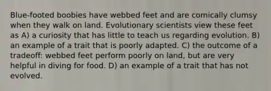 Blue-footed boobies have webbed feet and are comically clumsy when they walk on land. Evolutionary scientists view these feet as A) a curiosity that has little to teach us regarding evolution. B) an example of a trait that is poorly adapted. C) the outcome of a tradeoff: webbed feet perform poorly on land, but are very helpful in diving for food. D) an example of a trait that has not evolved.