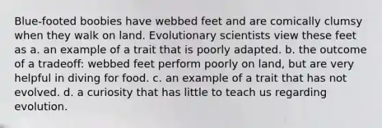 Blue-footed boobies have webbed feet and are comically clumsy when they walk on land. Evolutionary scientists view these feet as a. an example of a trait that is poorly adapted. b. the outcome of a tradeoff: webbed feet perform poorly on land, but are very helpful in diving for food. c. an example of a trait that has not evolved. d. a curiosity that has little to teach us regarding evolution.