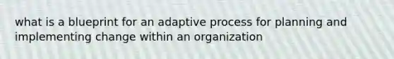 what is a blueprint for an adaptive process for planning and implementing change within an organization