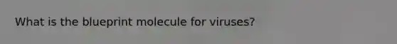 What is the blueprint molecule for viruses?