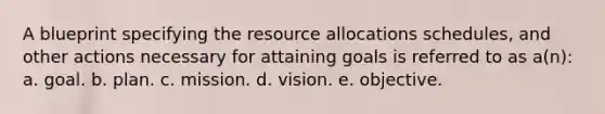 A blueprint specifying the resource allocations schedules, and other actions necessary for attaining goals is referred to as a(n): a. goal. b. plan. c. mission. d. vision. e. objective.