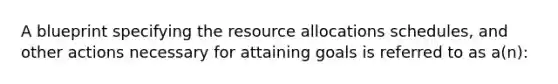 A blueprint specifying the resource allocations schedules, and other actions necessary for attaining goals is referred to as a(n):