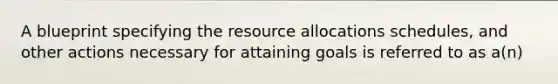 A blueprint specifying the resource allocations schedules, and other actions necessary for attaining goals is referred to as a(n)