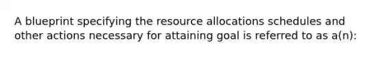 A blueprint specifying the resource allocations schedules and other actions necessary for attaining goal is referred to as a(n):