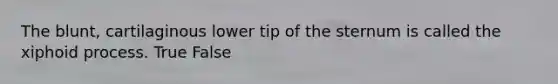 The blunt, cartilaginous lower tip of the sternum is called the xiphoid process. True False