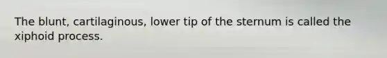 The blunt, cartilaginous, lower tip of the sternum is called the xiphoid process.