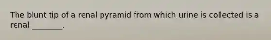 The blunt tip of a renal pyramid from which urine is collected is a renal ________.