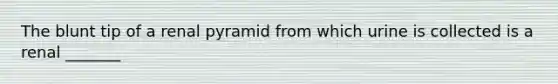 The blunt tip of a renal pyramid from which urine is collected is a renal _______