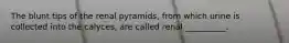 The blunt tips of the renal pyramids, from which urine is collected into the calyces, are called renal __________.