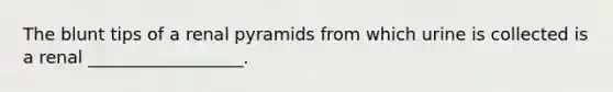The blunt tips of a renal pyramids from which urine is collected is a renal __________________.