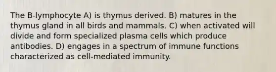 The B-lymphocyte A) is thymus derived. B) matures in the thymus gland in all birds and mammals. C) when activated will divide and form specialized plasma cells which produce antibodies. D) engages in a spectrum of immune functions characterized as cell-mediated immunity.