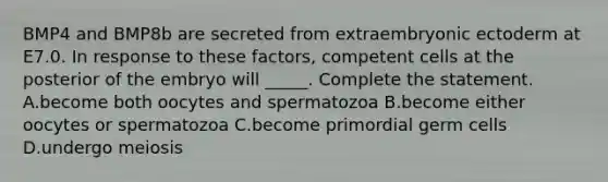 BMP4 and BMP8b are secreted from extraembryonic ectoderm at E7.0. In response to these factors, competent cells at the posterior of the embryo will _____. Complete the statement. A.become both oocytes and spermatozoa B.become either oocytes or spermatozoa C.become primordial germ cells D.undergo meiosis