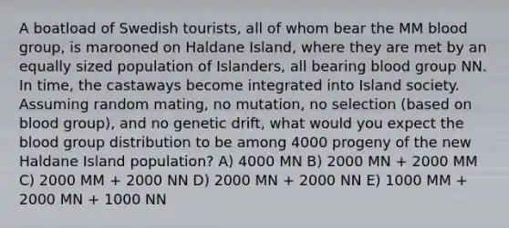 A boatload of Swedish tourists, all of whom bear the MM blood group, is marooned on Haldane Island, where they are met by an equally sized population of Islanders, all bearing blood group NN. In time, the castaways become integrated into Island society. Assuming random mating, no mutation, no selection (based on blood group), and no genetic drift, what would you expect <a href='https://www.questionai.com/knowledge/k7oXMfj7lk-the-blood' class='anchor-knowledge'>the blood</a> group distribution to be among 4000 progeny of the new Haldane Island population? A) 4000 MN B) 2000 MN + 2000 MM C) 2000 MM + 2000 NN D) 2000 MN + 2000 NN E) 1000 MM + 2000 MN + 1000 NN