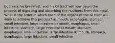 Bob eats his breakfast, and his GI tract will now begin the process of digesting and absorbing the nutrients from this meal. What is the order in which each of the organs of the GI tract will work to achieve this process? a) mouth, esophagus, stomach, small intestine, large intestine b) mouth, esophagus, small intestine, stomach, large intestine c) mouth, stomach, esophagus, small intestine, large intestine d) mouth, stomach, esophagus, large intestine, small intestine