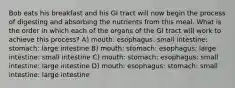 Bob eats his breakfast and his GI tract will now begin the process of digesting and absorbing the nutrients from this meal. What is the order in which each of the organs of the GI tract will work to achieve this process? A) mouth: esophagus: small intestine: stomach: large intestine B) mouth: stomach: esophagus: large intestine: small intestine C) mouth: stomach: esophagus: small intestine: large intestine D) mouth: esophagus: stomach: small intestine: large intestine