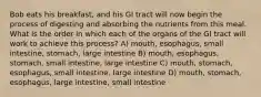 Bob eats his breakfast, and his GI tract will now begin the process of digesting and absorbing the nutrients from this meal. What is the order in which each of the organs of the GI tract will work to achieve this process? A) mouth, esophagus, small intestine, stomach, large intestine B) mouth, esophagus, stomach, small intestine, large intestine C) mouth, stomach, esophagus, small intestine, large intestine D) mouth, stomach, esophagus, large intestine, small intestine