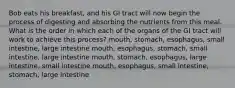 Bob eats his breakfast, and his GI tract will now begin the process of digesting and absorbing the nutrients from this meal. What is the order in which each of the organs of the GI tract will work to achieve this process? mouth, stomach, esophagus, small intestine, large intestine mouth, esophagus, stomach, small intestine, large intestine mouth, stomach, esophagus, large intestine, small intestine mouth, esophagus, small intestine, stomach, large intestine