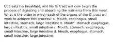 Bob eats his breakfast, and his GI tract will now begin the process of digesting and absorbing the nutrients from this meal. What is the order in which each of the organs of the GI tract will work to achieve this process? a. Mouth, esophagus, small intestine, stomach, large intestine b. Mouth, stomach esophagus, large intestine, small intestine c. Mouth, stomach, esophagus, small intestine, large intestine d. Mouth, esophagus, stomach, small intestine, large intestine