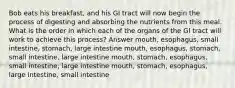 Bob eats his breakfast, and his GI tract will now begin the process of digesting and absorbing the nutrients from this meal. What is the order in which each of the organs of the GI tract will work to achieve this process? Answer mouth, esophagus, small intestine, stomach, large intestine mouth, esophagus, stomach, small intestine, large intestine mouth, stomach, esophagus, small intestine, large intestine mouth, stomach, esophagus, large intestine, small intestine