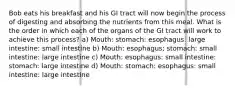 Bob eats his breakfast and his GI tract will now begin the process of digesting and absorbing the nutrients from this meal. What is the order in which each of the organs of the GI tract will work to achieve this process? a) Mouth: stomach: esophagus: large intestine: small intestine b) Mouth: esophagus; stomach: small intestine: large intestine c) Mouth: esophagus: small intestine: stomach: large intestine d) Mouth: stomach: esophagus: small intestine: large intestine